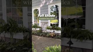 Shade garden window box idea🌿 windowbox shadegarden shadeplants containergardening diygarden [upl. by Ennahtebazile]