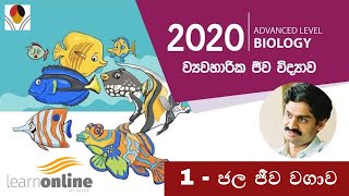 AL Biology ජල ජීවි වගාව  ව්‍යවහාරික ජීව විද්‍යාව  1 Applied Biology 1 Prof Hiran Amarasekera [upl. by Agn]