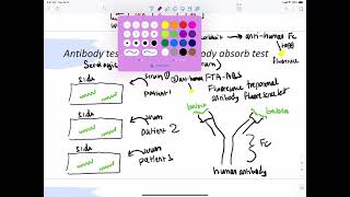 Immunology Antigen amp Antibody interaction in diagnosis [upl. by Carmine]