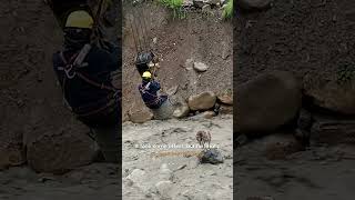 🌊Dog Rescued From Raging River🐕  Hero of the Week [upl. by Aylmer]