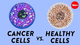 How do cancer cells behave differently from healthy ones  George Zaidan [upl. by Gerta645]