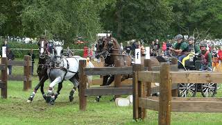 Dobrovitz József HUN FEI EU CH H4 CHI Donaueschingen Marathon Ob 6 17 08 2019 [upl. by Dempstor]