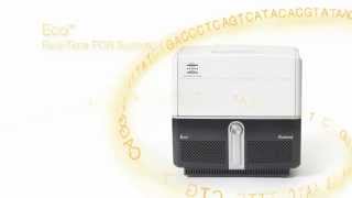 Illuminas Eco RealTime PCR System [upl. by Airual]