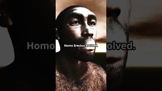 The Untold Story of Homo Erectus sciencefacts wethehomosapiens science scienceknowledge [upl. by Mongeau]