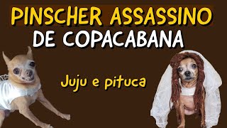 PINSCHER ASSASSINO DE COPACABANA [upl. by Ennaeel]