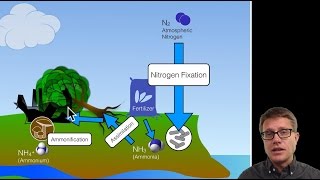 Biogeochemical Cycles [upl. by Lolly]