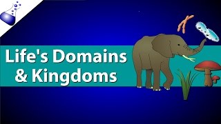 Domains and Kingdoms of life [upl. by Wickman553]