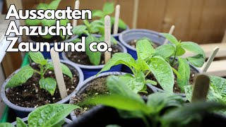 Gartenarbeiten im März und kleine Updates👨‍🌾 [upl. by Elpmet]