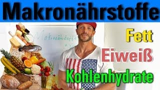 Makronährstoffe Eiweiß Kohlenhydrate Fett [upl. by Baoj272]