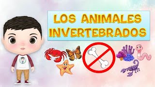 Los ANIMALES INVERTEBRADOS y su clasificacion para niños [upl. by Esyli779]