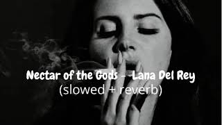 Nectar of the Gods  Lana Del Rey slowed  reverb [upl. by Solnit]