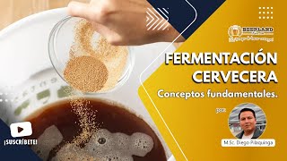 Fermentación Cervecera [upl. by Mccahill]