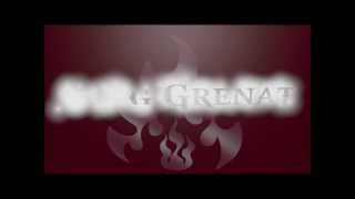 FC METZ Sang Grenat [upl. by Wistrup]