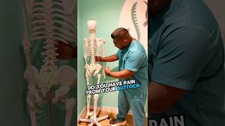 Sciatica Pain No Problem Just Do This One Exercise Every Day sciatica sciaticpain [upl. by Henig]