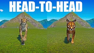 Caracal vs Cheetah A Head to Head Speed Race in Planet Zoo [upl. by Hcab]