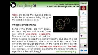 CC7549 Cells Skeletal amp Muscular Systems Cells  The Building Blocks of Life Chapter Mini  2013 [upl. by Drawyah]