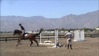 Lesson with McLain Ward [upl. by Ylak]