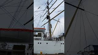 Threemasted Frigate quotDar Młodzieżyquot shorts gdynia poland travel ship boat frigate [upl. by Eytak]