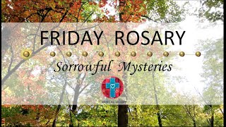 Friday Rosary • Sorrowful Mysteries of the Rosary 💜 November 24 2023 VIRTUAL ROSARY  MEDITATION [upl. by Herzel]