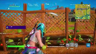 Fortnite20241107190533 [upl. by Philbrook588]