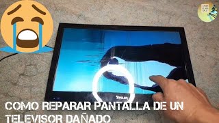 COMO REPARAR PANTALLA DE UN TELEVISOR DAÑADO SPELER 15quot [upl. by Fenner]