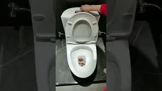 washdown toilet flushing test with 100 pp balls toilet [upl. by Odrarebe]