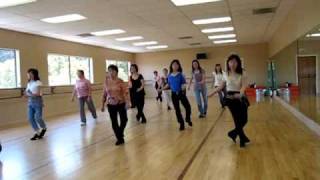 D H S S Line Dance Demo amp Walk Through [upl. by Urbani]