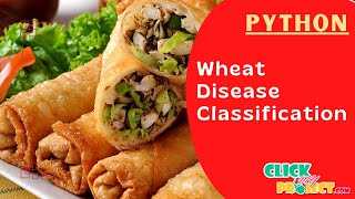 Python Machine Learning  Wheat Disease Classification Using Continual Learning  ClickMyProject [upl. by Noslrac444]