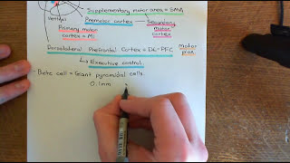 Amyotrophic Lateral Sclerosis ALS Part 1 [upl. by Haikezeh]