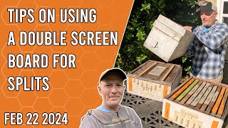 Tips on Using a Double Screen Board for Splits  Jacksonville FL Zone 9b [upl. by Janessa]