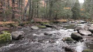 Babbling Brook ASMR  1080P HD [upl. by Rintoul230]