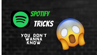 Enhance Your SPOTIFY Experience with This Cool Trick [upl. by Rooker]