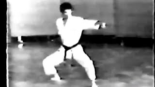 ChitoRyu Karate Kata • Chinto [upl. by Edda]