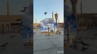 madinah live madina live madina makkah live viral [upl. by Huskamp]