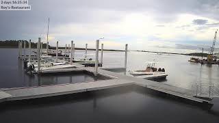 Steinhatchee River Webcam [upl. by Hannover]