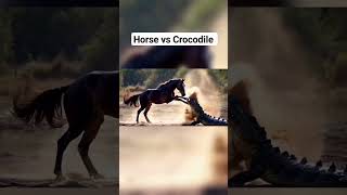 Watch a Horse Take on a Crocodile horsefight shortvideo [upl. by Sebastien]