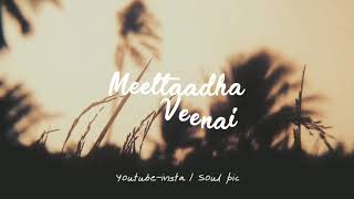 Meetatha veenai 😇 kannamma tamil song whatsapp status  Soul Pic [upl. by Josie]