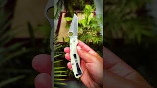 Para Military® 2 Tanto CPM M4 Exclusive Spyderco SpydercoKnives [upl. by Brookner]