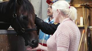 NZ 2000 Guineas Savaglee [upl. by Ayekam]