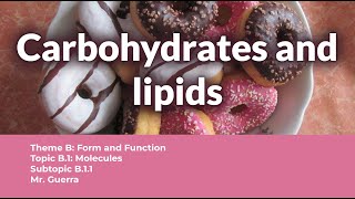 B11 Carbohydrates and lipids  IB Biology SL NEW SYLLABUS First assessment 2025 [upl. by Rieth]