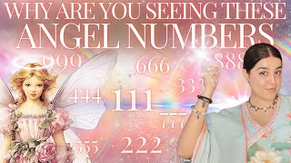 🦋 एंजल नंबर देख ने का असली कारण 🦋 Why Are You Seeing Angel Numbers SECRET MEANINGS REVEALED 🔮 [upl. by Suolkcin77]