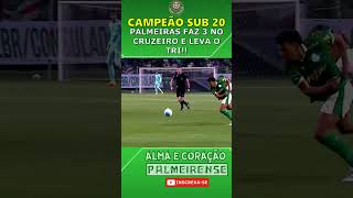 🏆 PALMEIRAS É TRI CAMPEÃO BRASILEIRO SUB 20 [upl. by Daniele953]