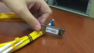 How to install and remove 10G SFP SR Modules [upl. by Ahsed]