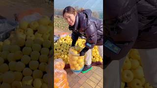 Enjoy yellow apple fruit cutting apples short [upl. by Ridglee]