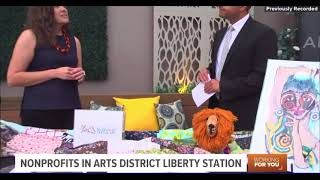 CBS 8 Featured Visions Museum of Textile Art for National Nonprofit Day [upl. by Olegnaed675]