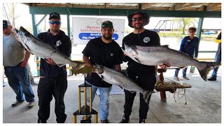 Winning The Manistee Salmon Fishing Tournament May 2024🏆🏆🏆 [upl. by Nnov438]