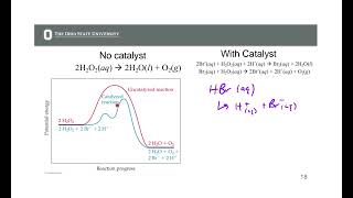 Catalysis and Enzymes CH 14 9182024 [upl. by Eniahs]