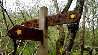 A Short Walk to the Mallyan Spout in Goathland [upl. by Ramu744]