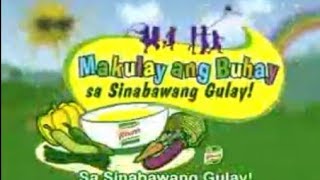 KNORR SINABAWANG GULAY ADVERTISEMENT [upl. by Frankhouse399]