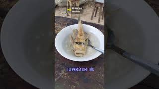 Degustando un rico caldo de carachama CulturaViva ecuador turismo [upl. by Damarra]